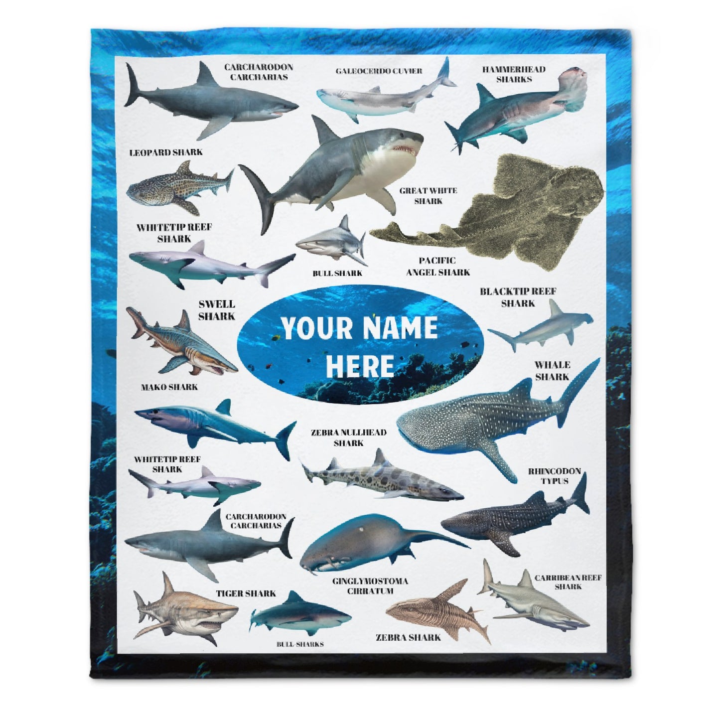 Free Shipping✈️Personalized Name Shark Blanket for Kids