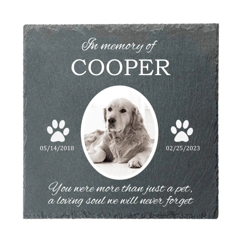 Personalized Pet Memorial Gift With Pet Picture