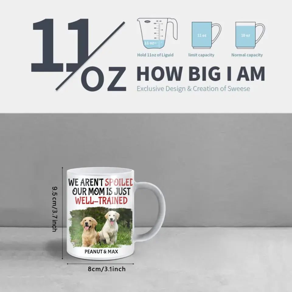 Personalized Name Color Changing Mug For Pet Owner - Well Trained Mom Photo