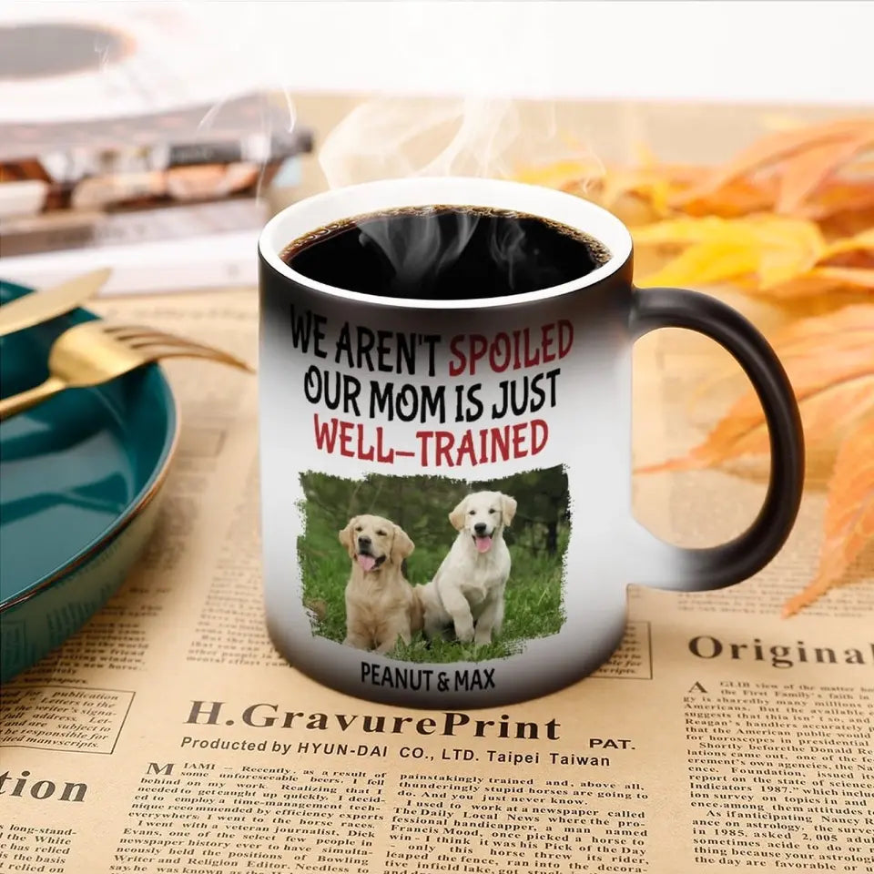 Personalized Name Color Changing Mug For Pet Owner - Well Trained Mom Photo