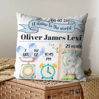 Baby Birth Information Statistics Pillow - Welcome To The World