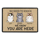 We Know You Are Here - Funny Personalized Cat Decorative Mat - Lovscape